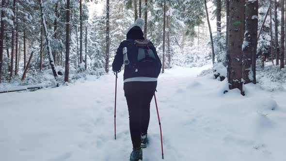 Young Woman Crosscountry Skiing on Beautiful Snowing Day in Forest