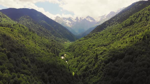 Greenery And Mountains In Caucasus, Georgia