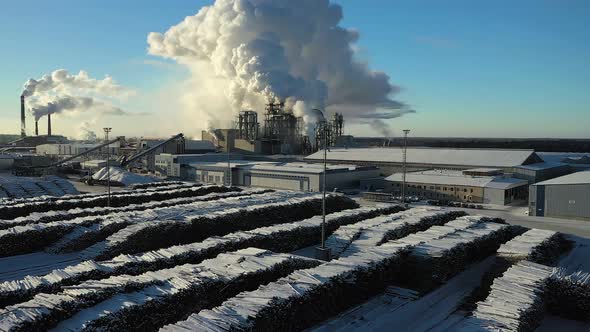 Piles of Logs at the Wood Processing Plant