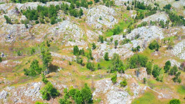 Aerial View of the Rocky Mountain Peaks with Green Trees in National Park Lovcen Montenegro