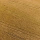 Top View Aerial Shot of Abandoned House in the Forest - VideoHive Item for Sale