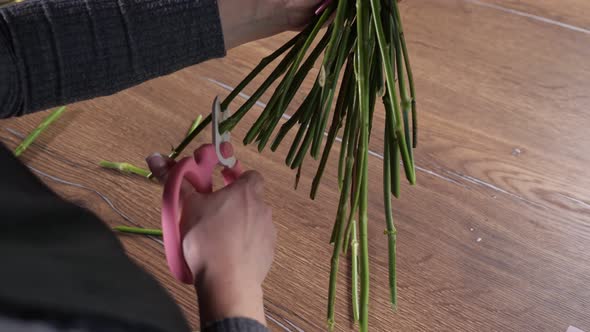 Florist Trims Stems of Roses with Pink Scissors in Workshop