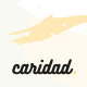 Caridad - Charity WordPress - ThemeForest Item for Sale