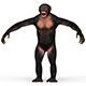 Chimpanzee With PBR Textures - 3DOcean Item for Sale