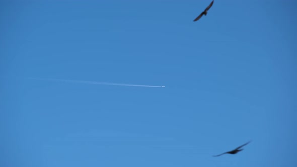 Distant Passenger Jet Plane Flying on High Altitude on Clear Blue Sky Leaving White Smoke Trace of