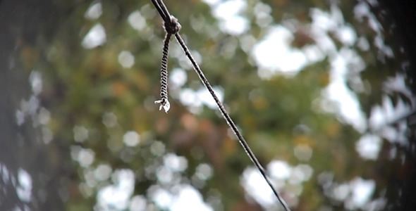 Wet Clothes Line Swings