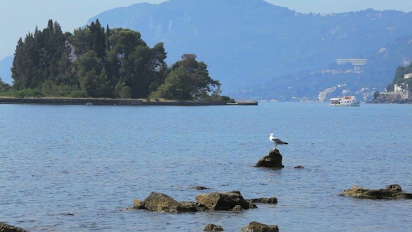 Sea Gull and Small Boat