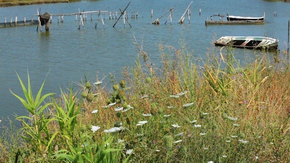 Background with Boats, Lake and Grass