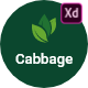 Cabbage - Organic Food XD Template - ThemeForest Item for Sale