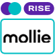 Mollie payment method for RISE CRM - CodeCanyon Item for Sale