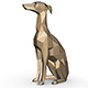 Italian Greyhound - 3DOcean Item for Sale
