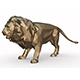 lion - 3DOcean Item for Sale