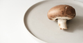 one royal mushroom on concrete plate. minimalistic composition. copy space - PhotoDune Item for Sale