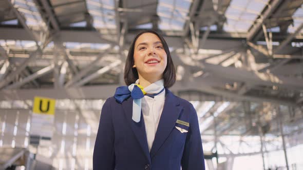 Beautiful and attractive Caucasian flight attendant staff smiling and walking with confidence face.