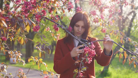 Young Attractive Redhaired Woman Taking Photos of Spring Flowers of Cherry or Sakura Blossoms on