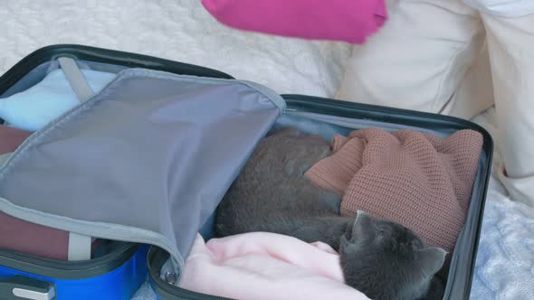 A Woman in Lightcolored Clothes Puts Things Out of a Suitcase with Her Hands