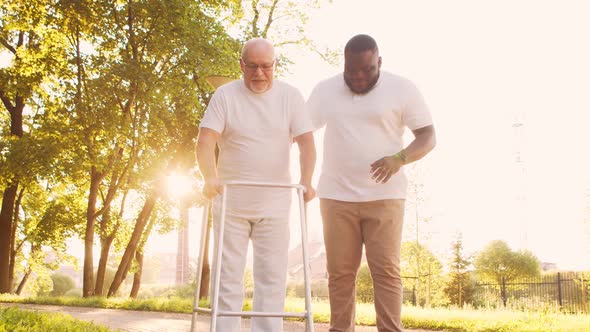 African-American caregiver is teaching disabled old man to walk with walker. Nurse and patient.