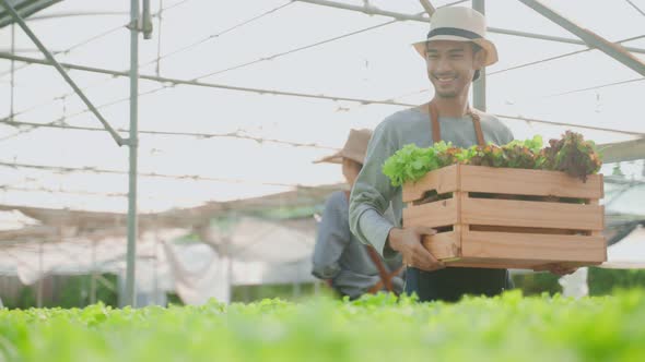 Asian farmers couple work in vegetables hydroponic farm with happiness.