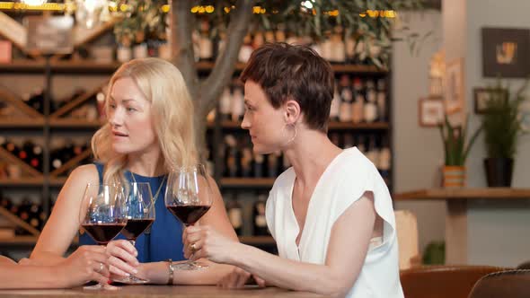 Happy Women Drinking Red Wine at Bar or Restaurant