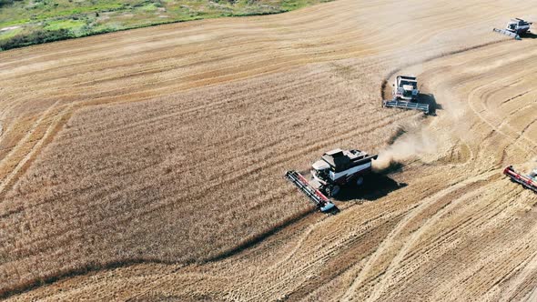 Top View of Harvester-threshers Collecting Crops