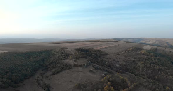 Green Forest At The Hill And The Vast Farmland