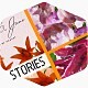 Painted Blooming Flower Stories - VideoHive Item for Sale