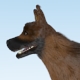German Shepherd Dog - 3DOcean Item for Sale