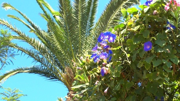 Palm Tree Leaf and Blue Flowers alt