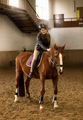 young female jockey siting on brown horse in riding hall - PhotoDune Item for Sale