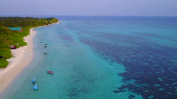 Aerial drone panorama of seashore beach wildlife by blue ocean with sand background