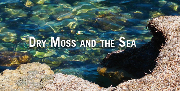 Dry Moss and the Sea alt