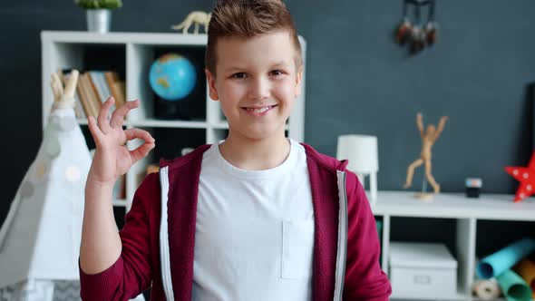 Portrait of Cheerful Boy Showing Ok Hand Gesture Standing at Home and Smiling