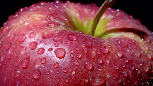 Close-up of a Red-green Apple with Water Droplets Macro Shot. The Apple Rotates Around Its Axis on a