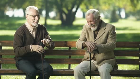 Two Old Men Relaxing and Having Fun in Park of Nursing Home, Happy Memories