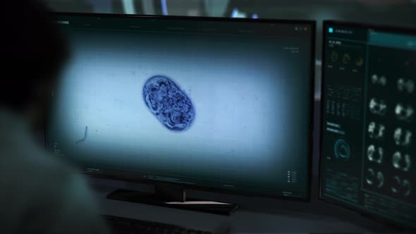 Doctor Oversees Microbe Mitosis Biological Study In Innovative Research Software alt