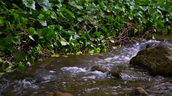 Mountain River Flowing Through The Green Forest - Stream In The Woods - slider right