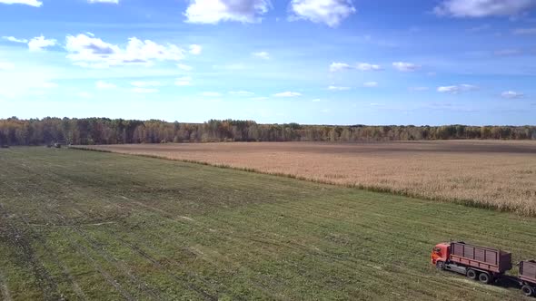 Aerial View Truck with Empty Trailer Stands on Harvested Field