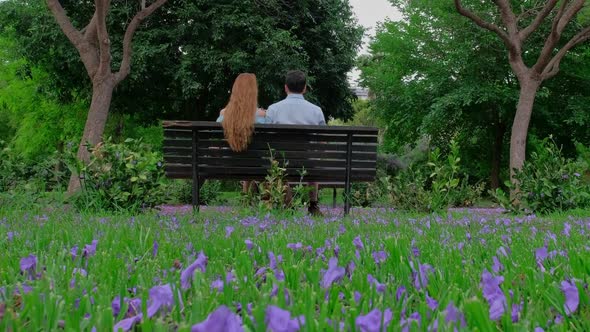 Beautiful Park with Blooming Purple Jacaranda