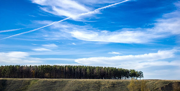 Pine Woods And Clouds In Blue Sky Timelapse