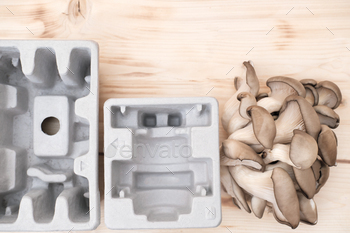 compostable packaging biodegradable and renewable material fully natural composite environmentally friendly alternative to plastic. up-cycling.