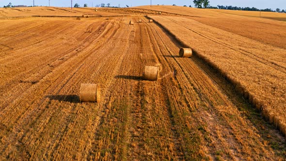 Big baler on golden fields in summer, Poland