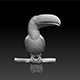 tucan - 3DOcean Item for Sale
