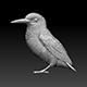 Kingfisher - 3DOcean Item for Sale