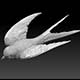 swallow - 3DOcean Item for Sale