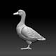 goose - 3DOcean Item for Sale
