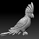 parrot cacadu - 3DOcean Item for Sale