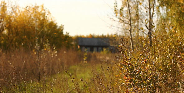 Dry Grass And Village House