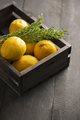 Dried Lemons in a Wooden Box With Cypress on Top - PhotoDune Item for Sale