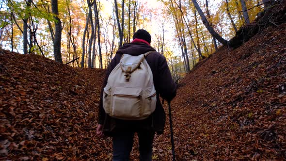 Man is Enjoying Nature Walking Alone in Sunny Forest at Autumn Day