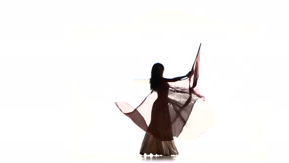 Beautiful Slim Exotic Belly Dancer with Two Wings and Shaking Her Hips, on White, Silhouette, Shadow